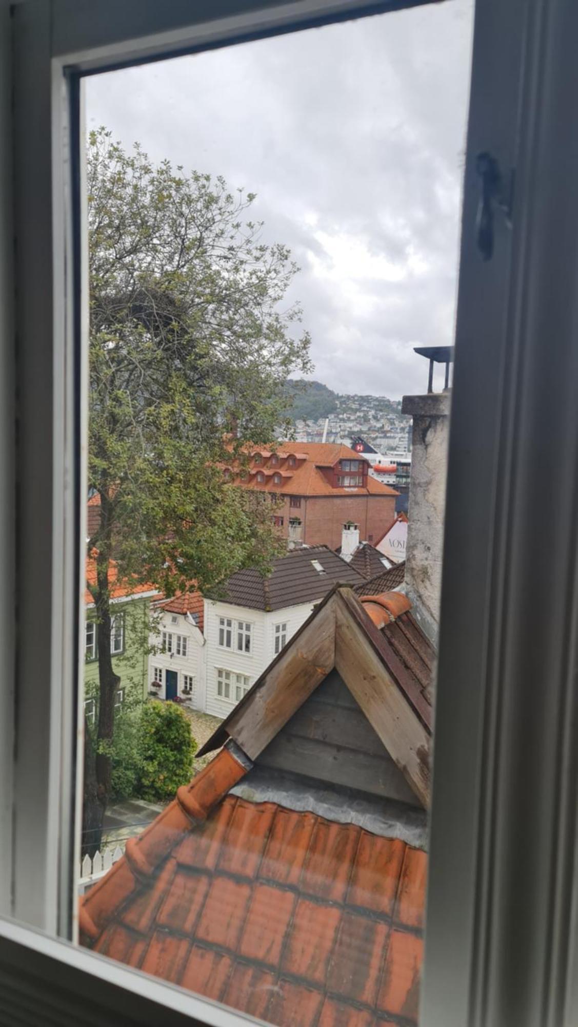Amunds Apartment Берген Экстерьер фото